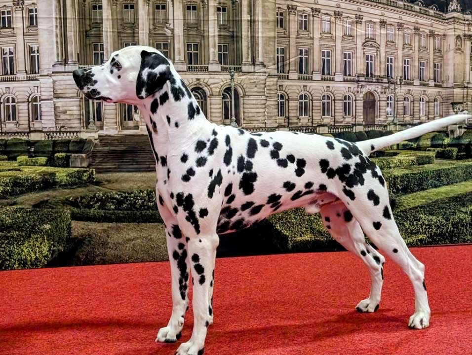 United love De La Pointe Des Osismes