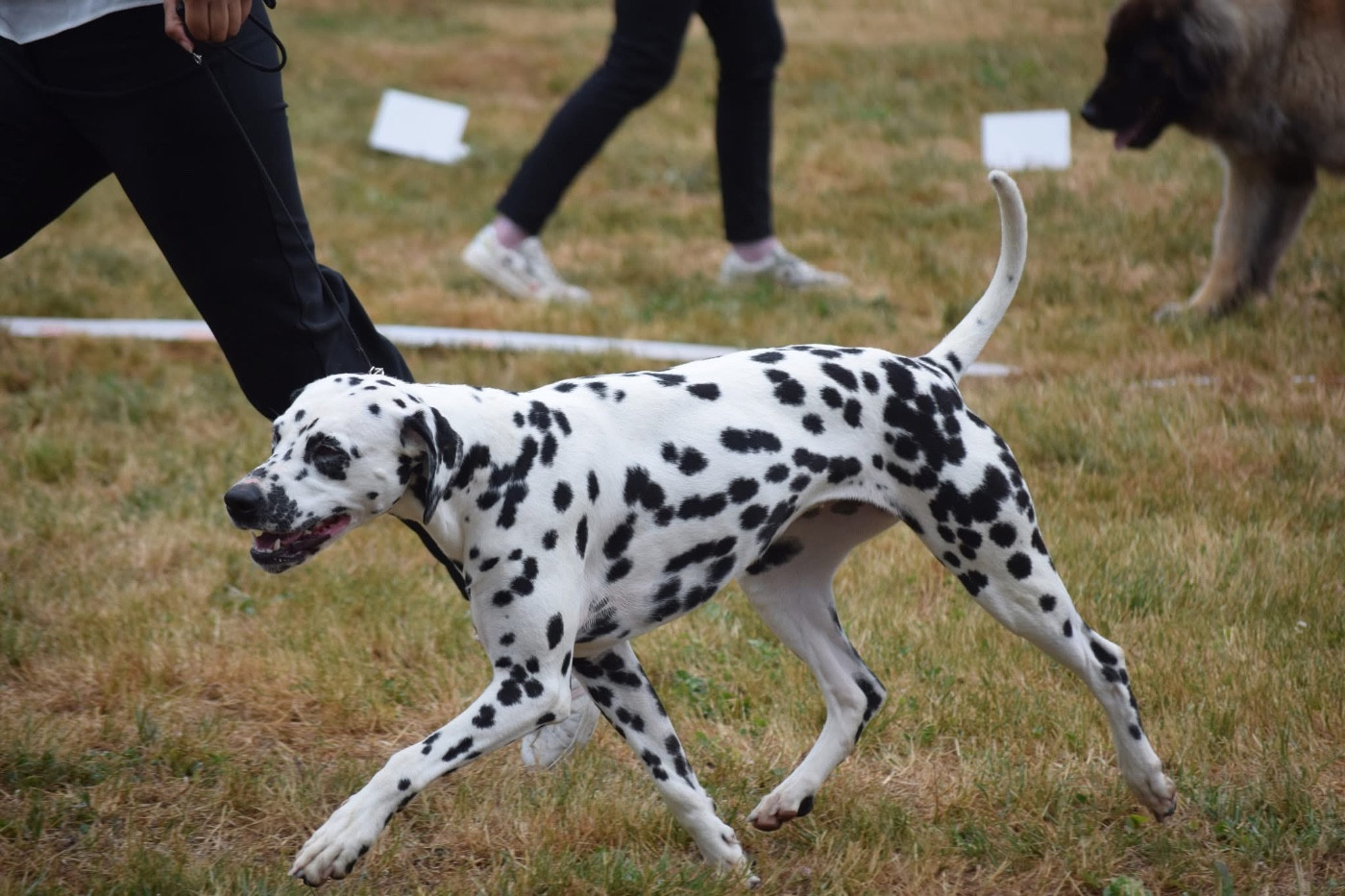 Uhella De La Pointe Des Osismes